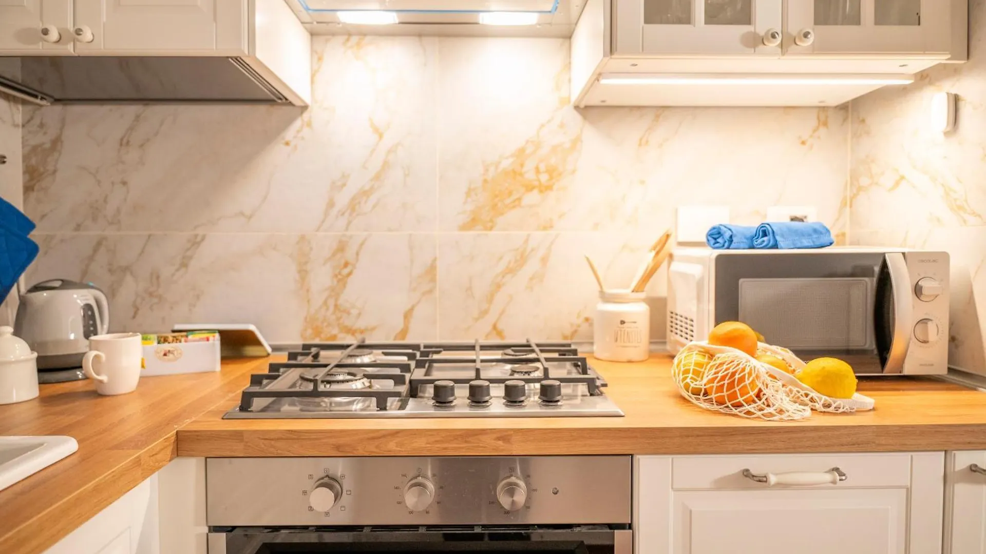 Loving Santo Spirito Apartment Florence